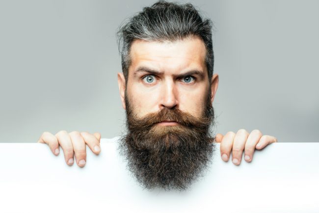 Best Beard Grooming Kit - beard fun