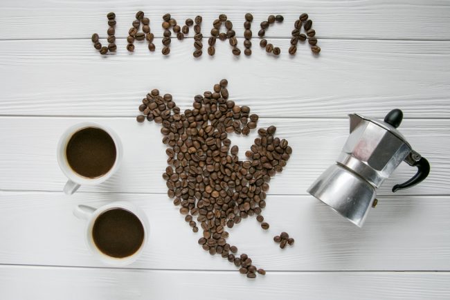 Blue Mountain Coffee From Jamaica