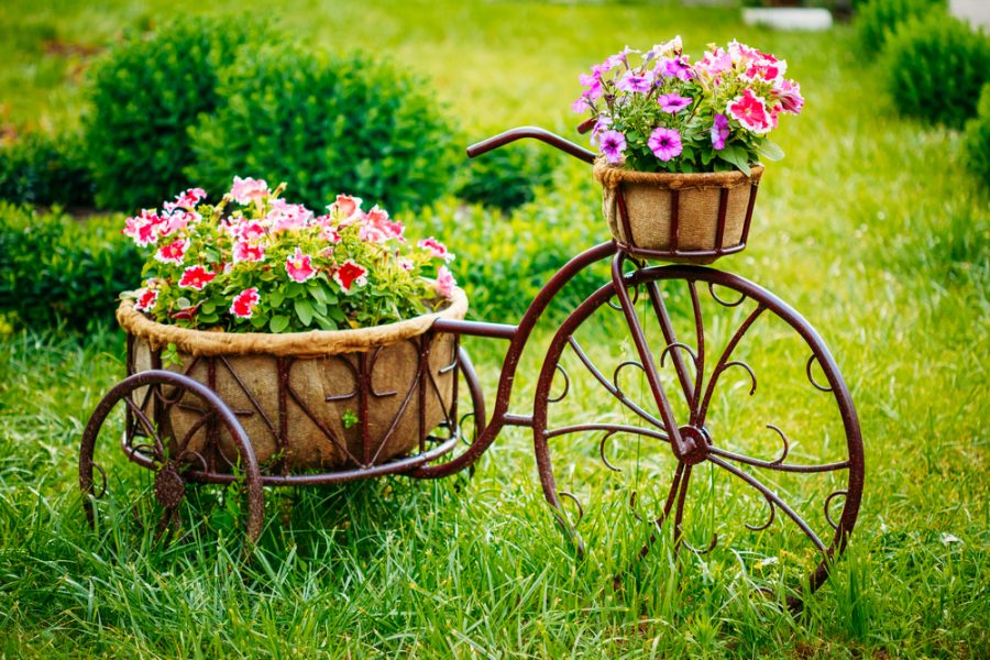 landscaping - old bike with flowers